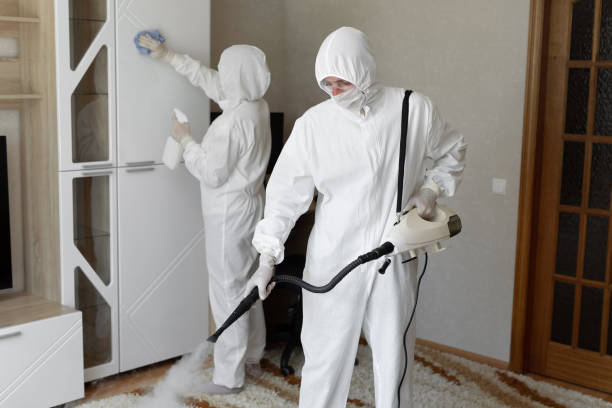 Best Commercial Mold Inspection  in Canadian Lakes, MI